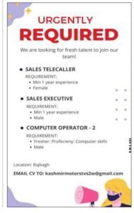 Computer Operator, Sales Executive vacancies in srinagar
