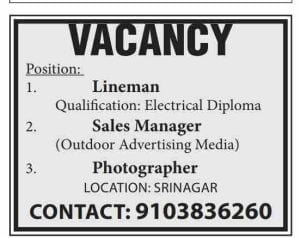 Lineman, Sales Manager