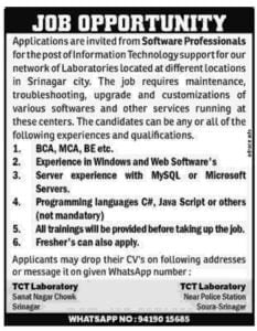 Software Professionals 