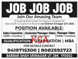 Sales Executive, Manager Jobs in Srinagar, check salary, Application process
