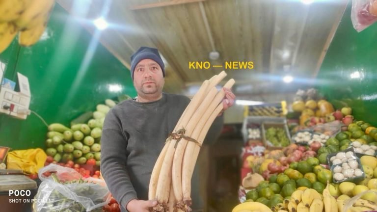 Maqbool Hussain: The King of Lotus Stem Business in Kashmir gives global touch to Nadru