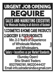 Sales And Marketing Executive