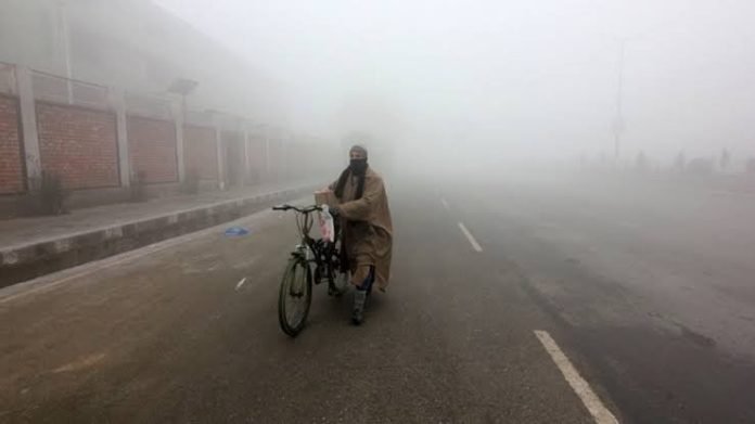 Fog Blankets Srinagar, Cold Grips Kashmir; Dry Weather Expected in Jammu and Kashmir