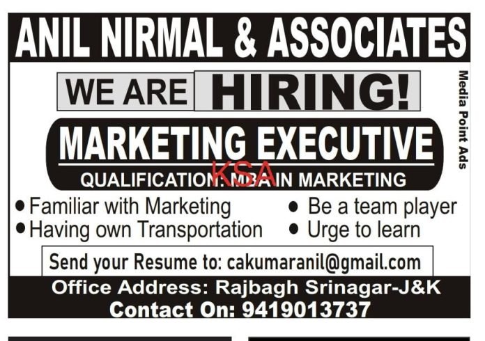 Marketing Executive Jobs in ANIL NIRMAL & ASSOCIATES 