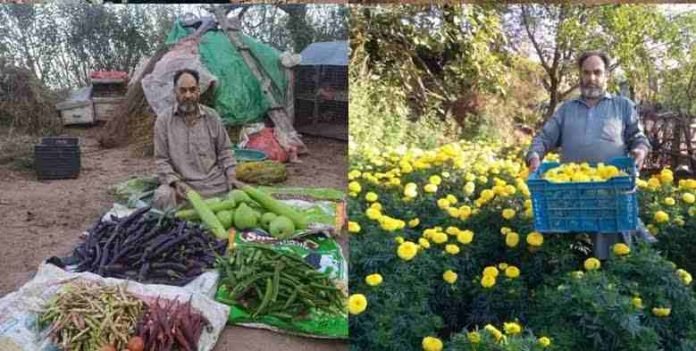 Innovative Farming Triumph: Abdul Majeed's Journey to Agricultural Success in Ramban