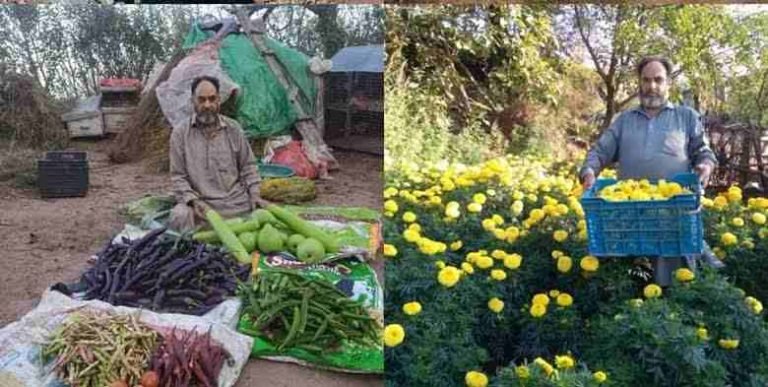 Innovative Farming Triumph: Abdul Majeed’s Journey to Agricultural Success in Ramban