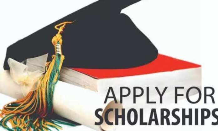 Sports Global Excellence Scholarship 2025: check eligibility, Application Process, Last Date