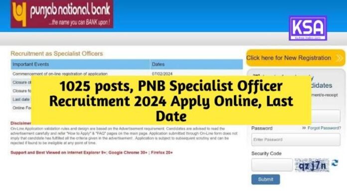 1025 posts, PNB Specialist Officer Recruitment 2024 Apply Online, Last Date