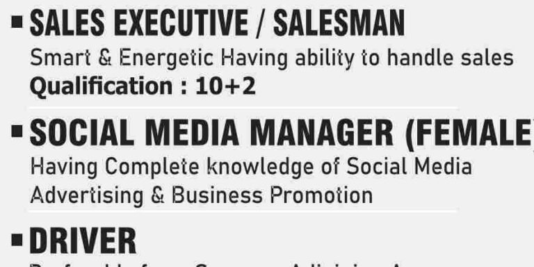 Ply Mart Srinagar Jobs for Salesman, Accountant, Social Media Manager & Driver posts