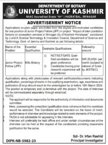 Fresh Jobs At University of Kashmir