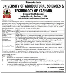 Sher-e-Kashmir University of Agricultural Sciences and Technology of Kashmir is Hiring a Project Associate