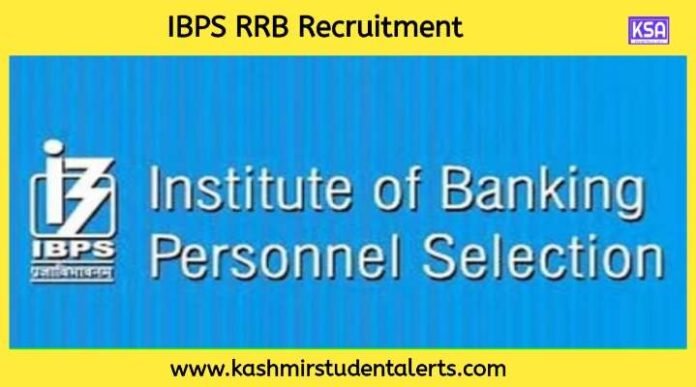 IBPS RRB Recruitment 2024: Registration Open for 9923 Officers and Clerks, Apply online